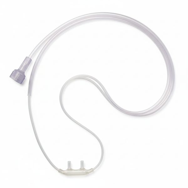 Full Length Top-Down View