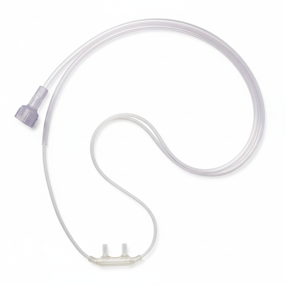 Full Length Top-Down View