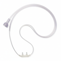 Full Length Top-Down View