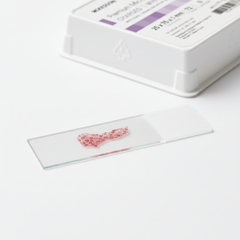 Slide with tissue specimen